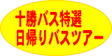 ���A��o�X�c�A�[
