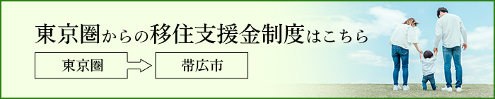 地方創生移住支援事業 東京圏からの移住支援金制度