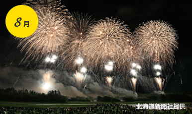 8Month Doshin fireworks