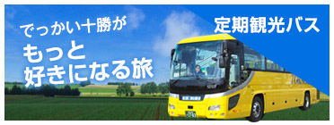 Regular Tourist Buses