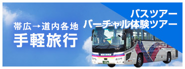 Bus Tour/Virtual Experience Tour